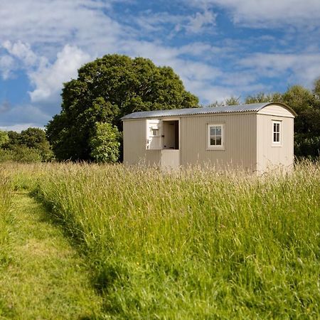 Romantic Secluded Shepherd Hut Hares Rest Southwick  ภายนอก รูปภาพ